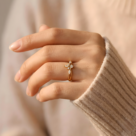 Anillo Promesa Infinita
